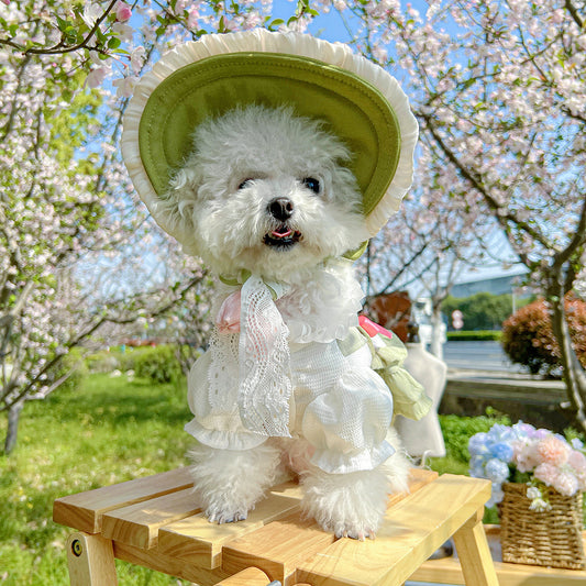 Vintage Lace Pet Bonnet Hat for Small Dogs & Cats - Sage Green