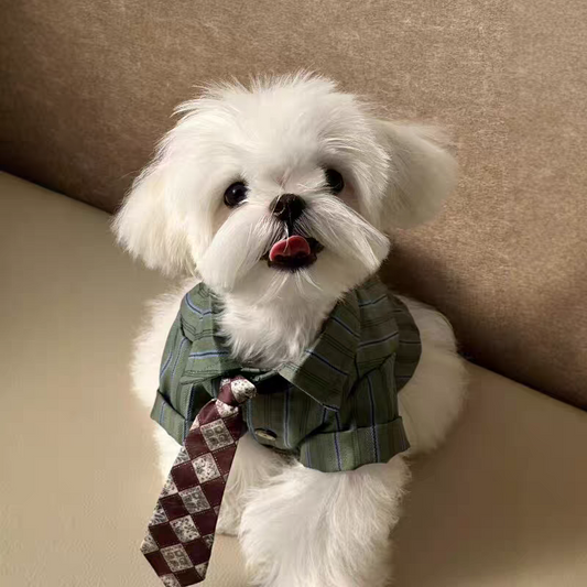 Pet Button-Down Shirt Sewing Pattern with Video Tutorial | A3 Printable PDF | 7 Sizes S-4XL | Dog Cat Formal Casual Shirt
