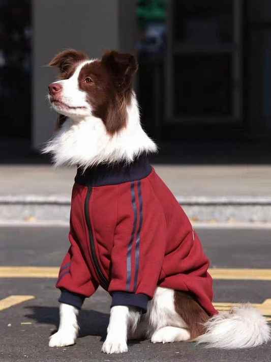 Pet School Uniform Sweatshirt PDF Sewing Pattern | S-4XL Inch Sizes, A3 Printable, Step-by-Step Sewing Tutorial, Digital Dog Coat Pattern