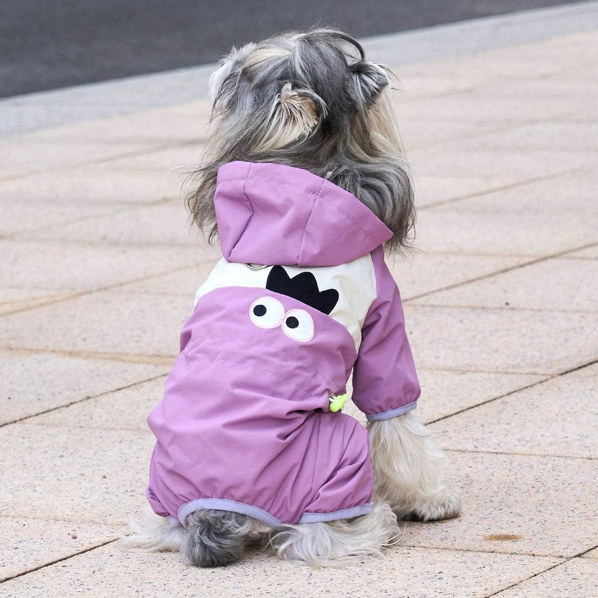 47 Pet Clothes Sewing Patterns Bundle | A3 Printable PDF | Dog & Cat Apparel Collection with Step-by-Step Video Tutorials | Lifetime Free Updates | Instant Digital Download