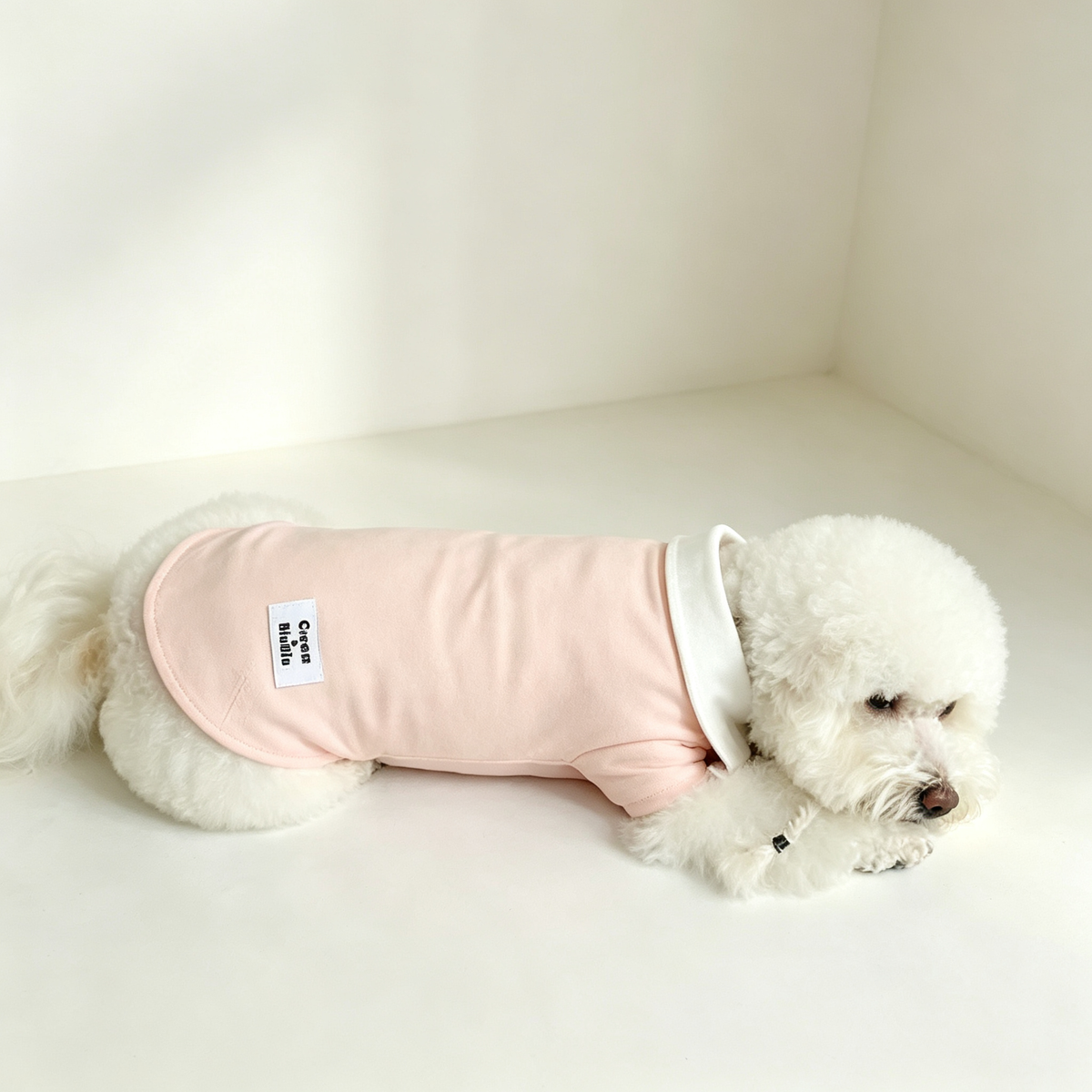 Pet Polo Shirt Sewing Pattern with Video Tutorial | A3 Printable | 7 Sizes (S-4XL) | Dog Cat Casual Top Digital PDF