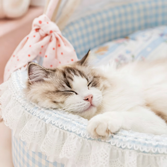 Lace Trim Canopy Pet Cradle Bed | Cute Bunny Floral Print Soft Cat & Dog Bed | Semi-Enclosed Cozy Pet Nest for Small & Medium Pets