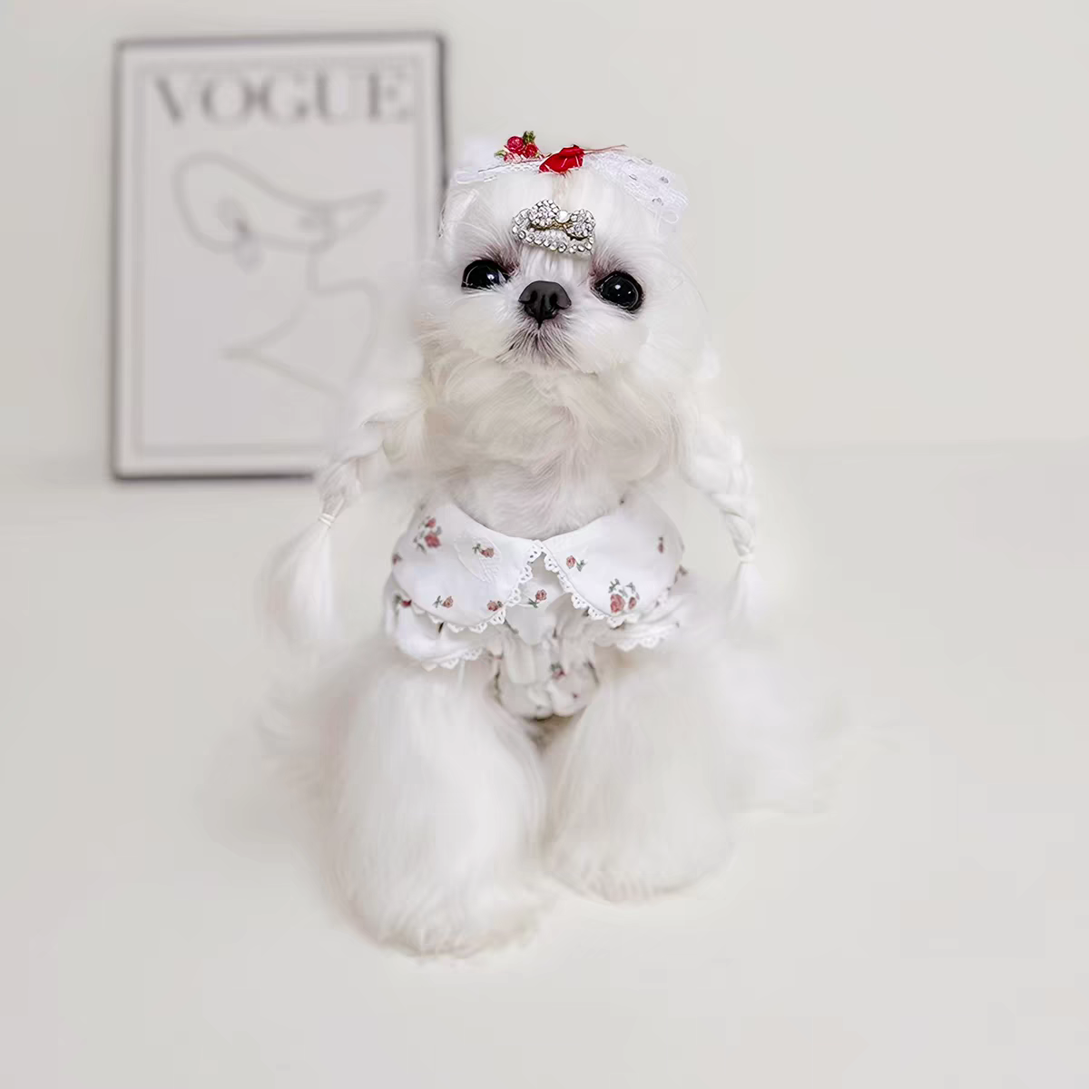 Pet Doll Collar Dress Sewing Pattern with Step-by-Step Tutorial | A3 Printable PDF | Sizes S-4XL | Dog Cat Floral Lace Outfit