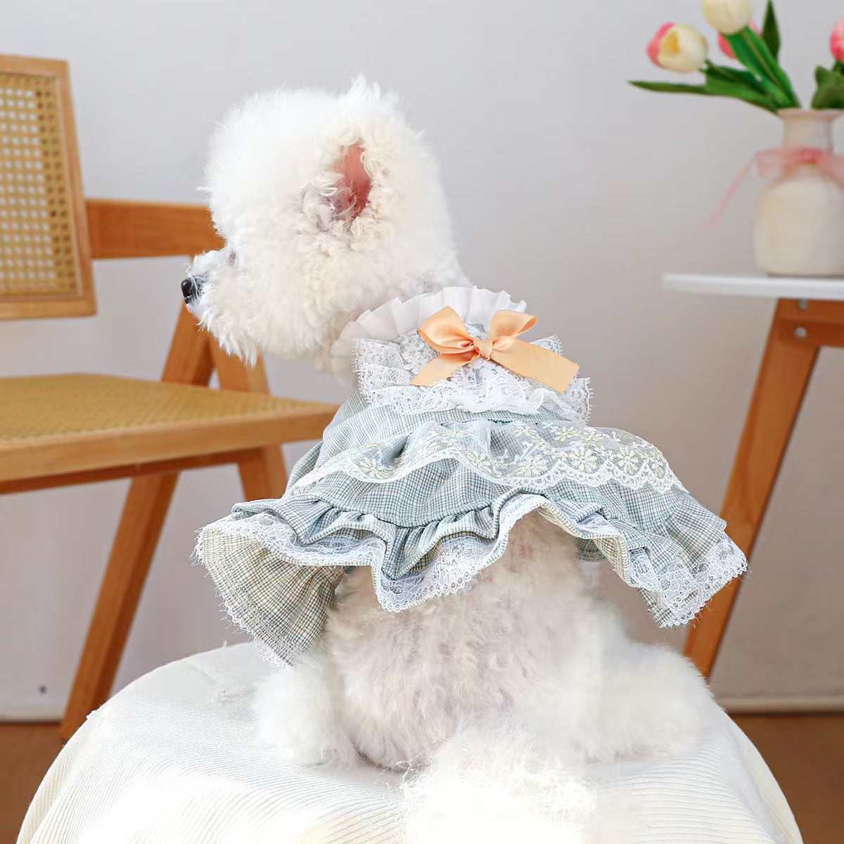 Gingham Lace Pet Dress for Small Dogs & Cats – Vintage Floral Puppy Outfit