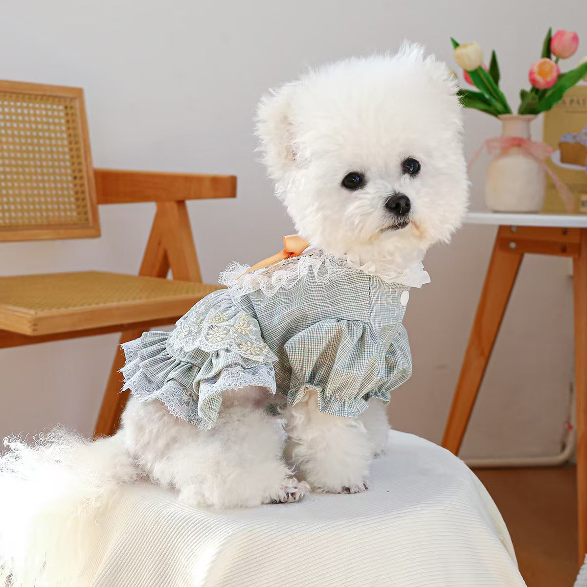 Gingham Lace Pet Dress for Small Dogs & Cats – Vintage Floral Puppy Outfit