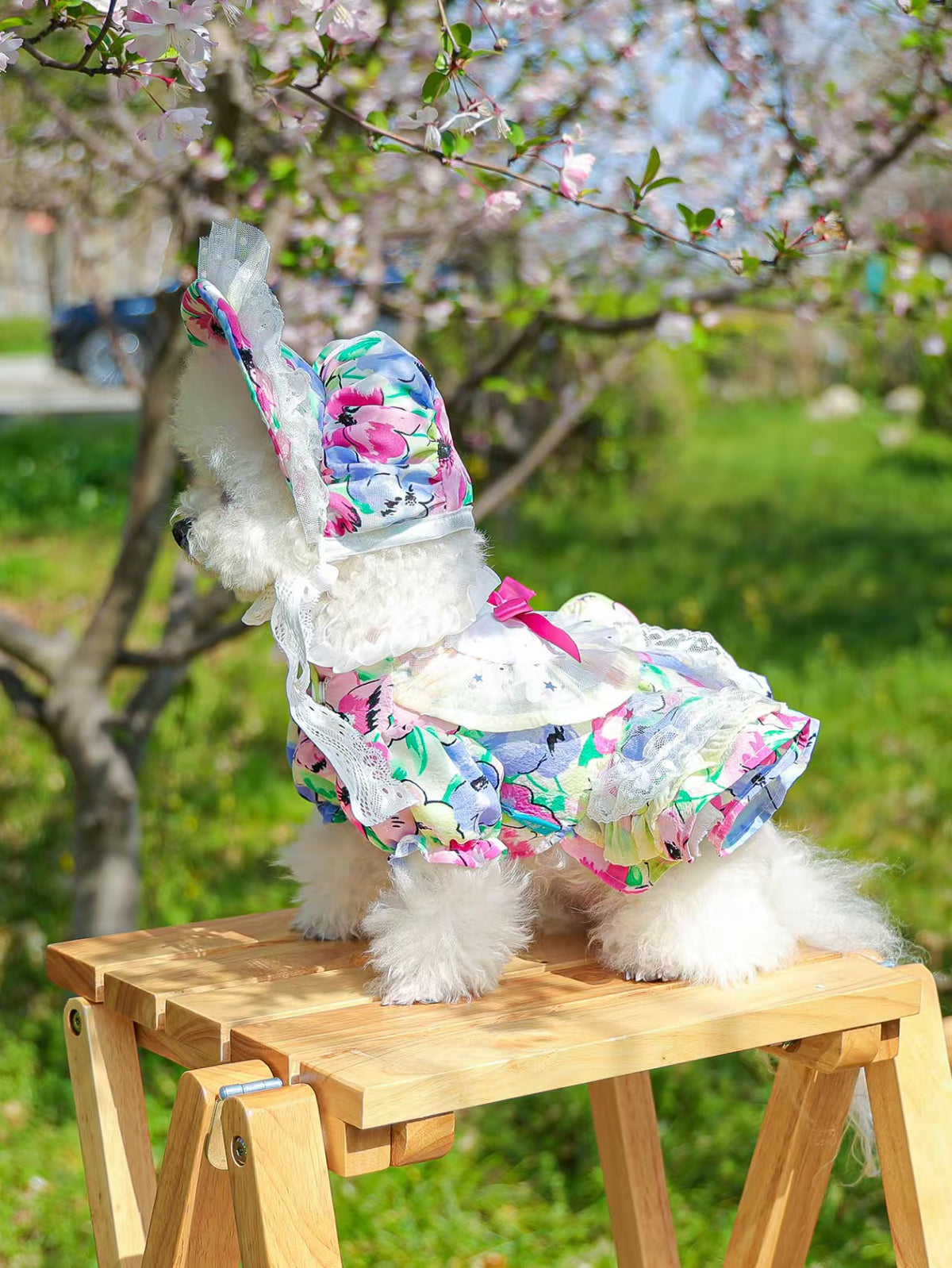 Floral Lace Pet Outfit Set for Small Dogs & Cats – Dress with Matching Bonnet