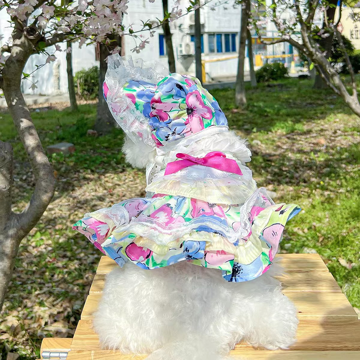 Floral Lace Pet Outfit Set for Small Dogs & Cats – Dress with Matching Bonnet