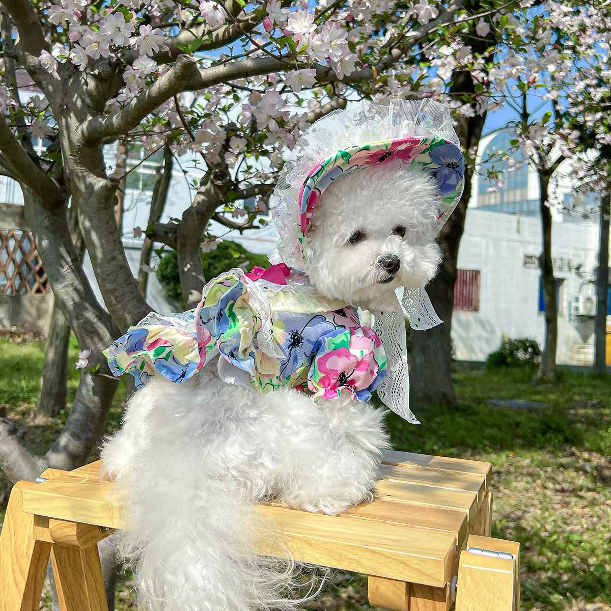 Floral Lace Pet Outfit Set for Small Dogs & Cats – Dress with Matching Bonnet