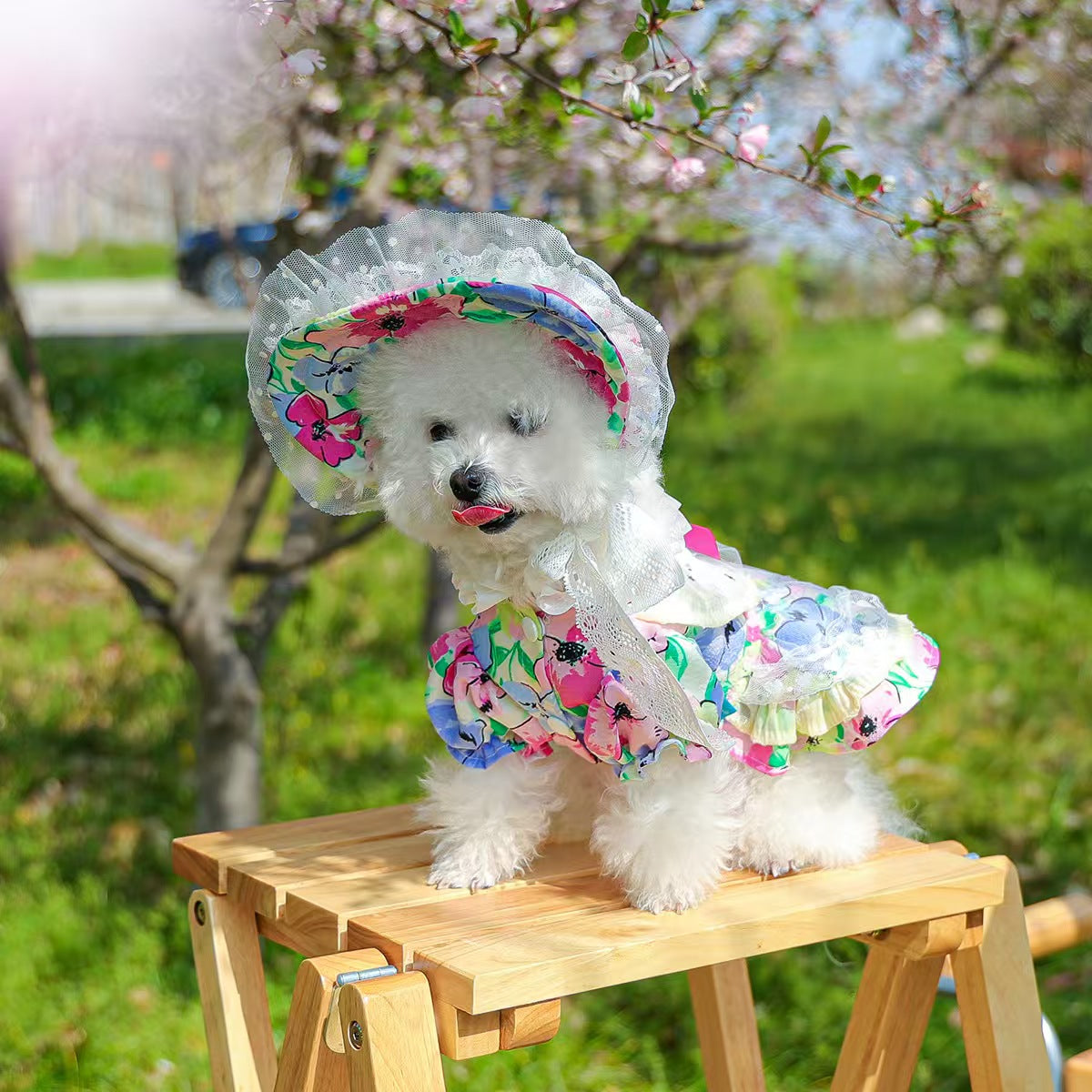 Floral Lace Pet Outfit Set for Small Dogs & Cats – Dress with Matching Bonnet