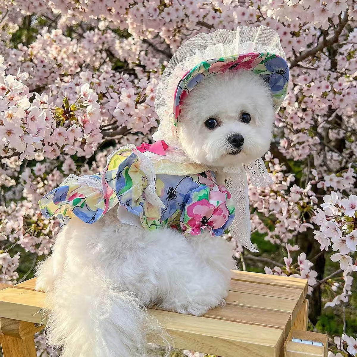Floral Lace Pet Outfit Set for Small Dogs & Cats – Dress with Matching Bonnet