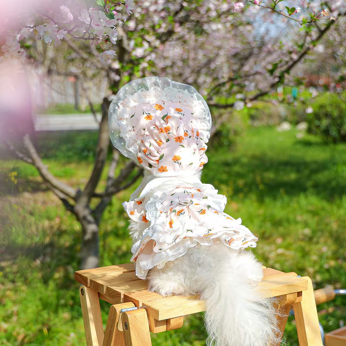 Pink Floral Lace Pet Outfit Set for Small Dogs & Cats – Dress with Matching Bonnet