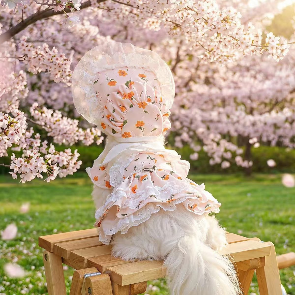 Pink Floral Lace Pet Outfit Set for Small Dogs & Cats – Dress with Matching Bonnet