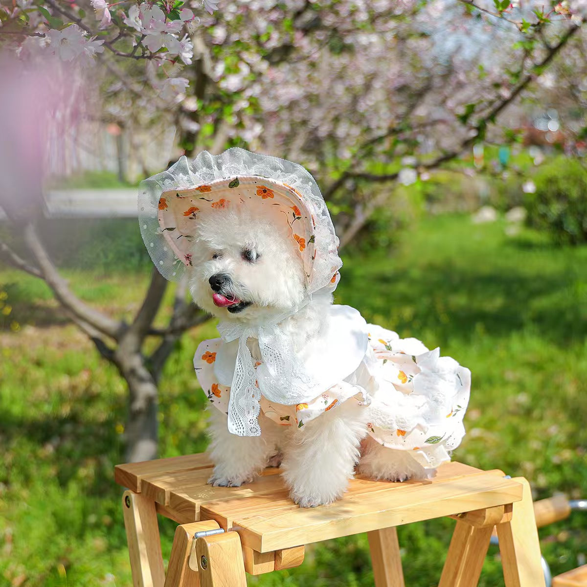 Pink Floral Lace Pet Outfit Set for Small Dogs & Cats – Dress with Matching Bonnet