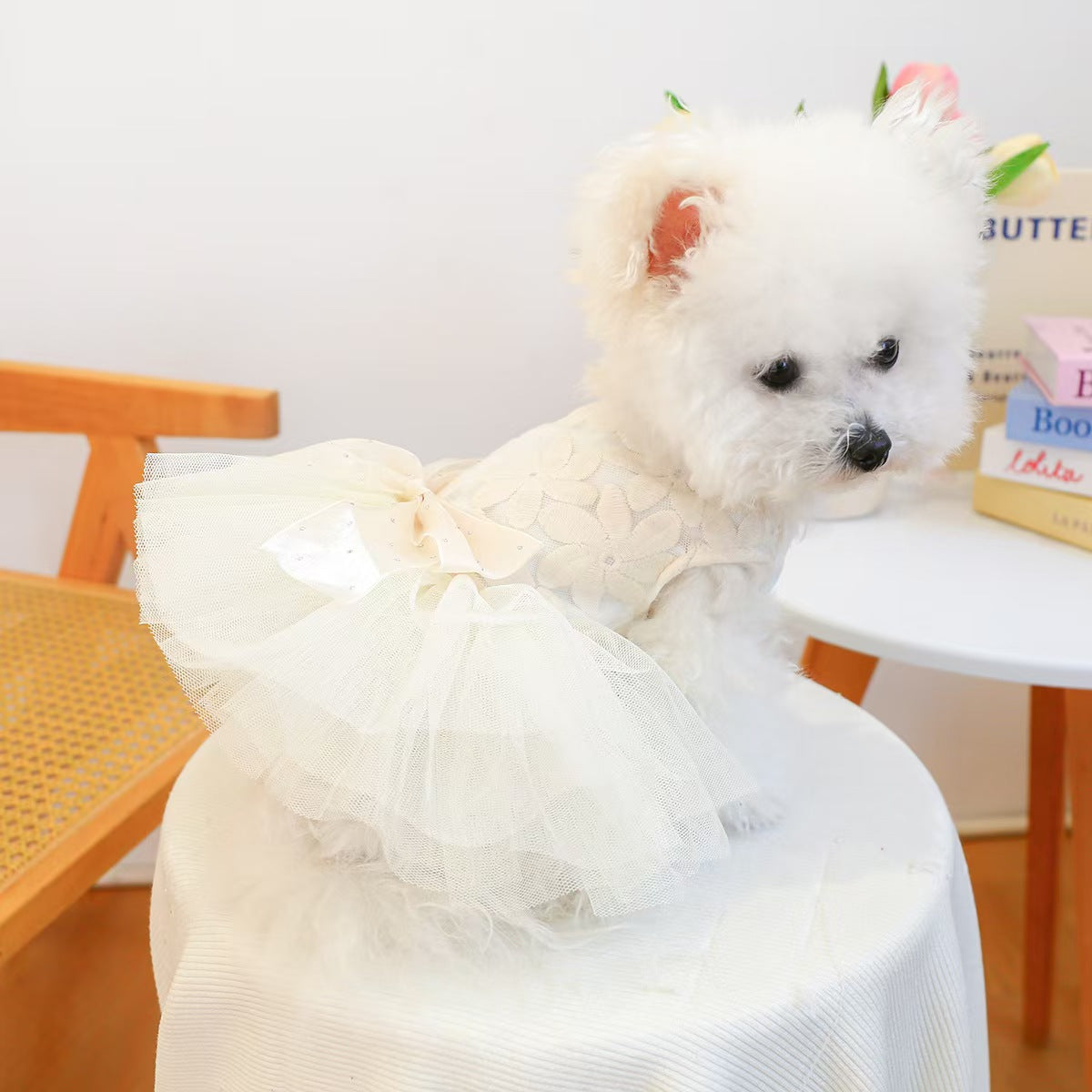 Tulle Tutu Pet Dress for Small Dogs & Cats – Princess Lace Ball Gown Puppy Outfit