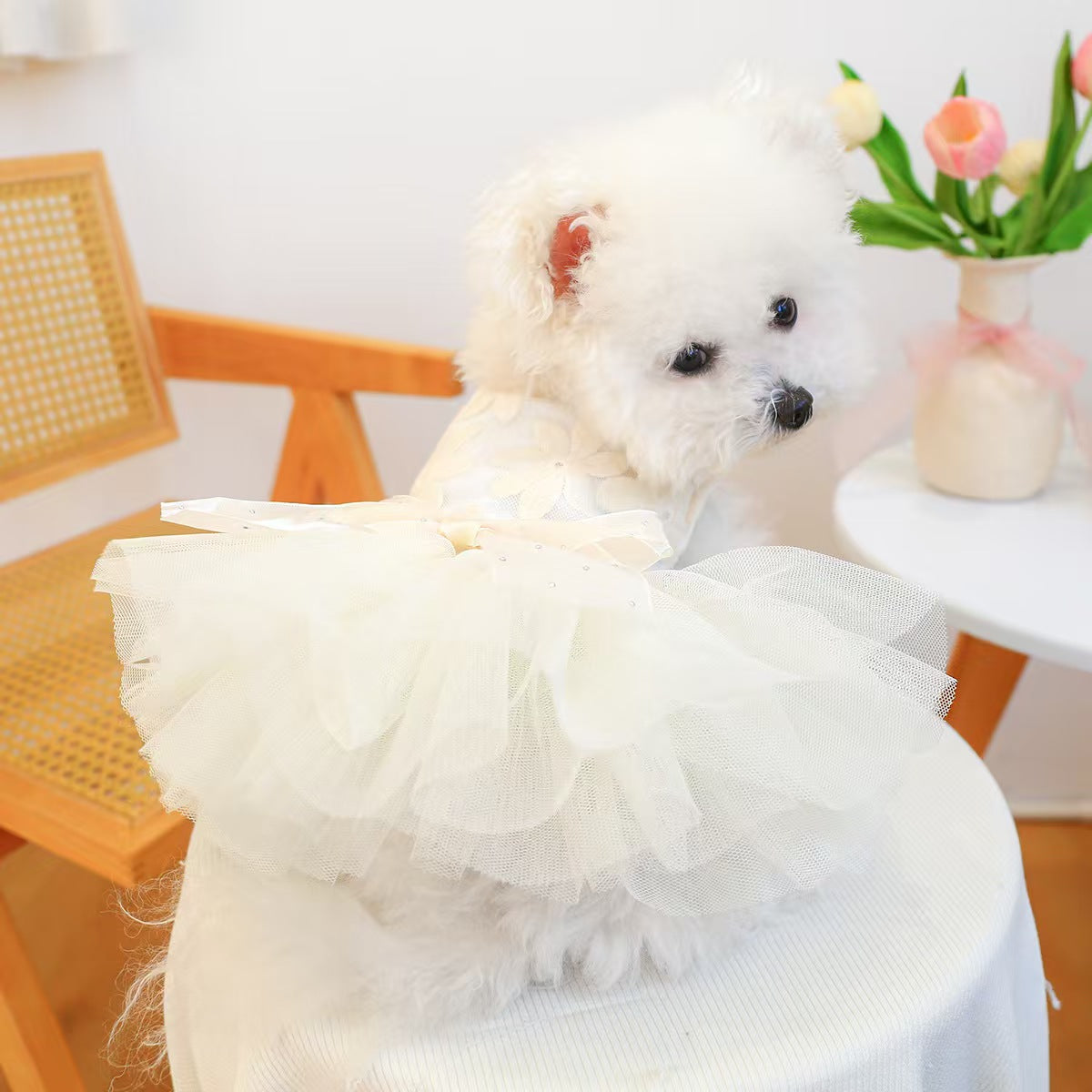 Tulle Tutu Pet Dress for Small Dogs & Cats – Princess Lace Ball Gown Puppy Outfit
