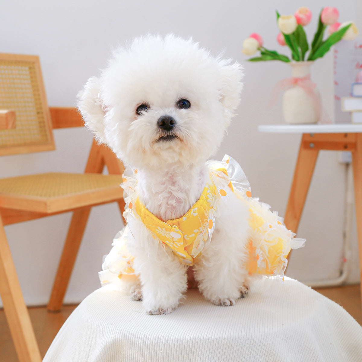 Daisy Print Pet Sundress for Small Dogs & Cats – Yellow Lace Tutu Puppy Dress
