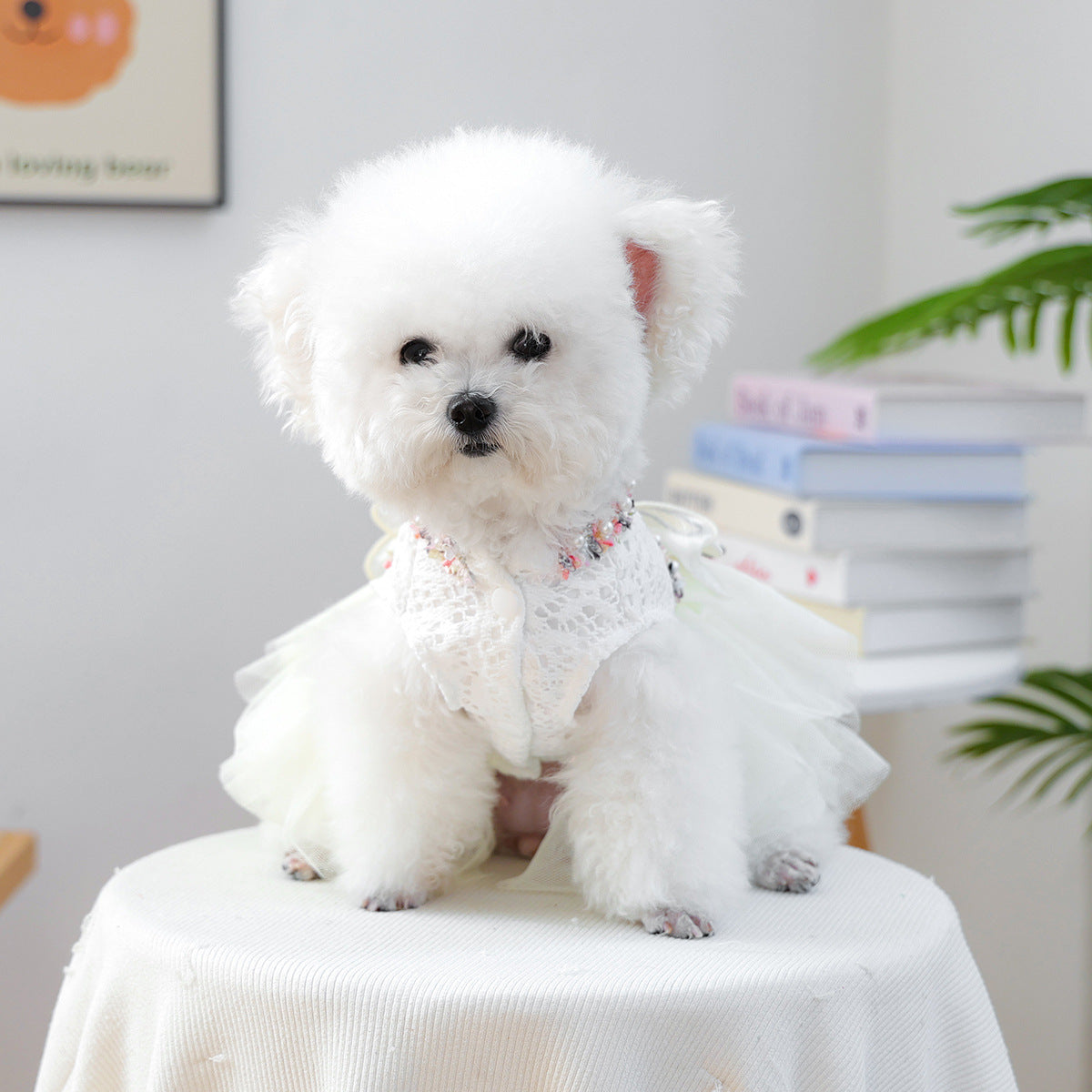 Bow & 3D Floral Pet Dress for Small Dogs & Cats – Lace Puff Tulle Princess Gown