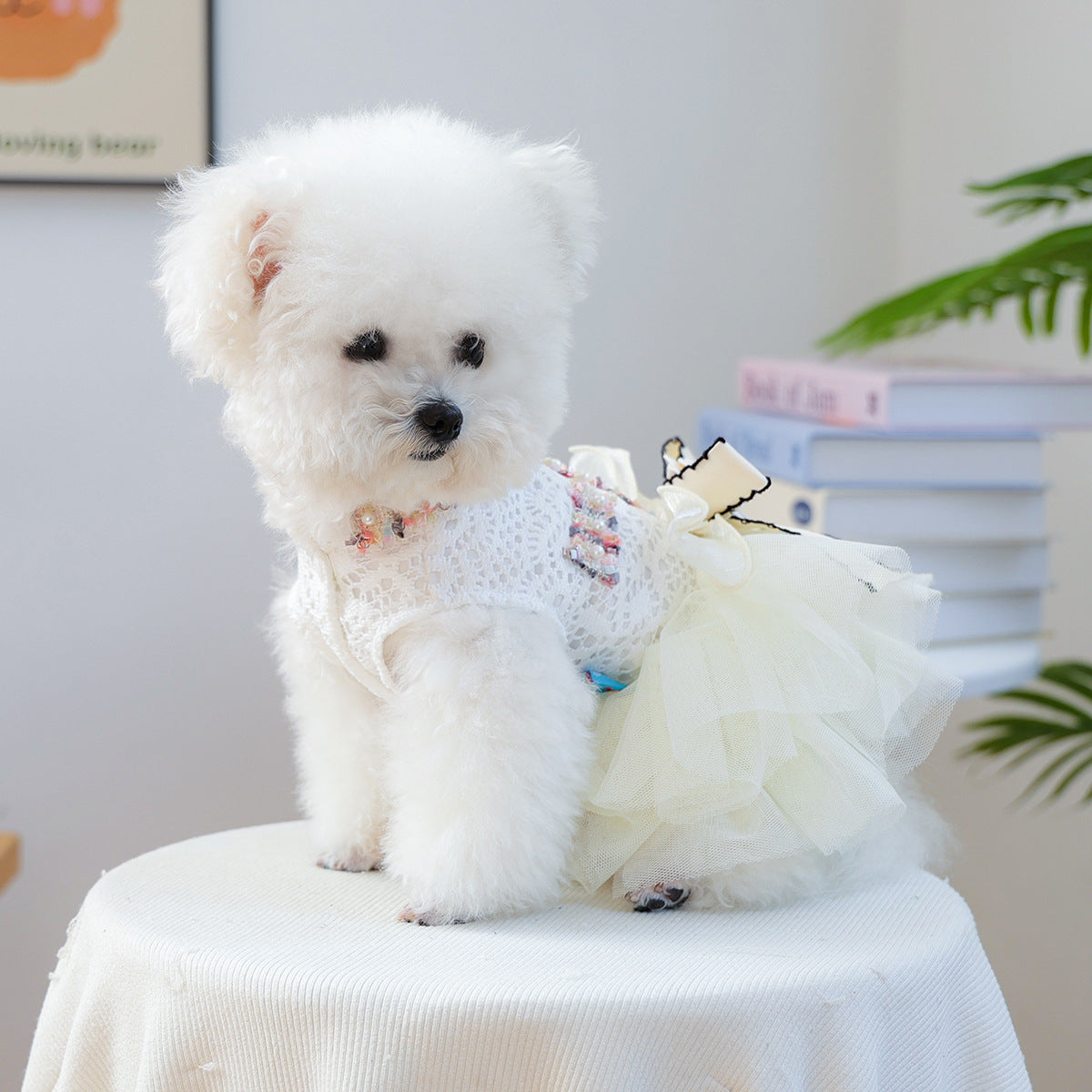 Bow & 3D Floral Pet Dress for Small Dogs & Cats – Lace Puff Tulle Princess Gown