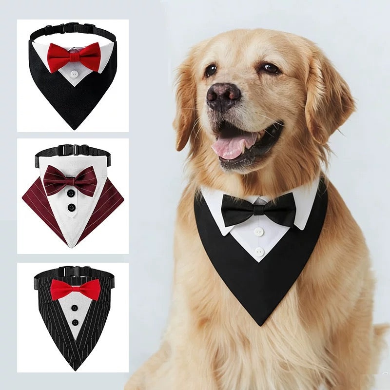Pet Tuxedo Bib Sewing Pattern PDF – Bow Tie Collar Neck Cover for Cats & Dogs, 10 Sizes XS–6XL, A4 Digital Download