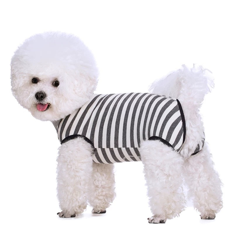 DIY Pet Jumpsuit Vest Sewing Pattern & Full Video Tutorial | 7 Sizes S to 4XL | A3 Format Instant Download
