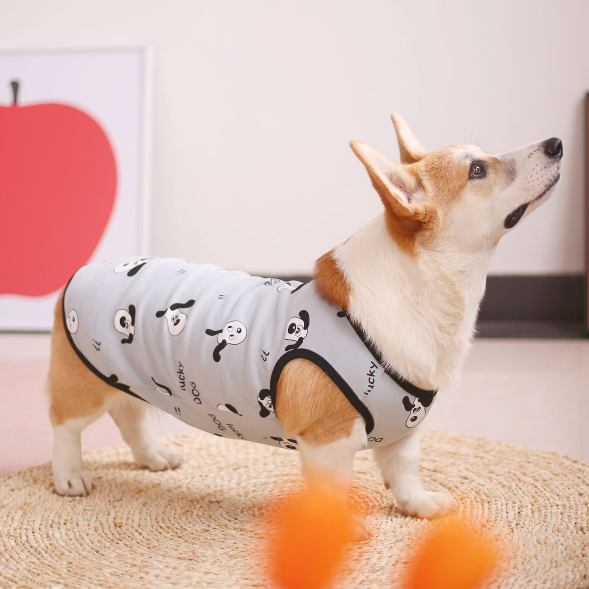 Pet Dog Cat Tank Top Sewing Pattern + Video Tutorial | S-4XL | A3 Printable PDF