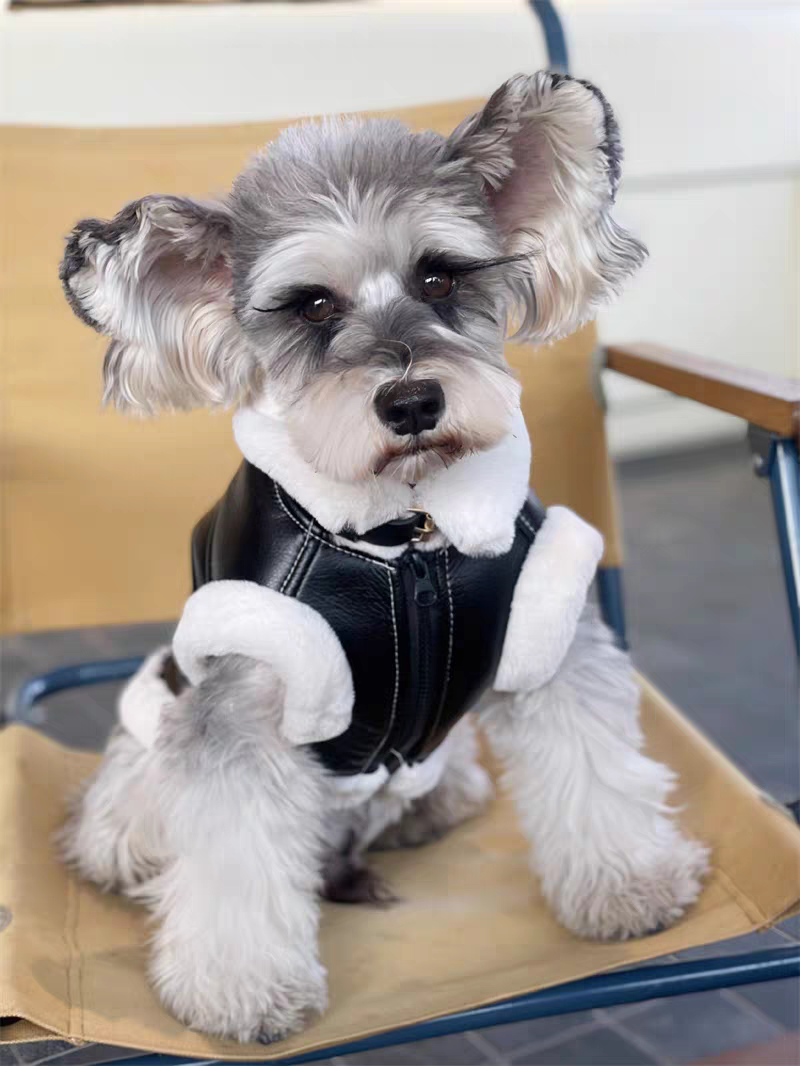 Sherpa Fleece Lined Dog Winter Vest, Faux Suede & Faux Leather Warm Pet Coat, 6 Sizes XS-XXL