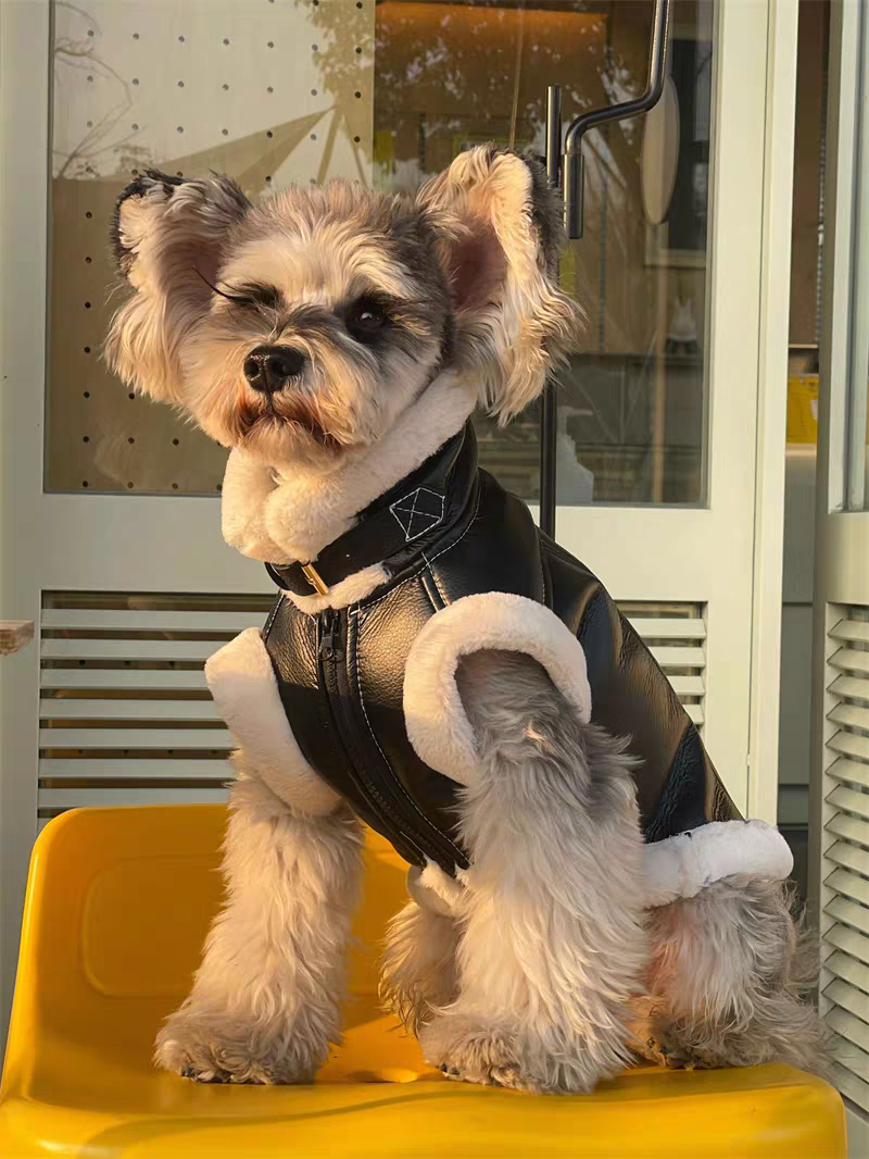 Sherpa Fleece Lined Dog Winter Vest, Faux Suede & Faux Leather Warm Pet Coat, 6 Sizes XS-XXL