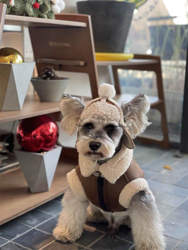 Sherpa Fleece Lined Dog Winter Vest, Faux Suede & Faux Leather Warm Pet Coat, 6 Sizes XS-XXL