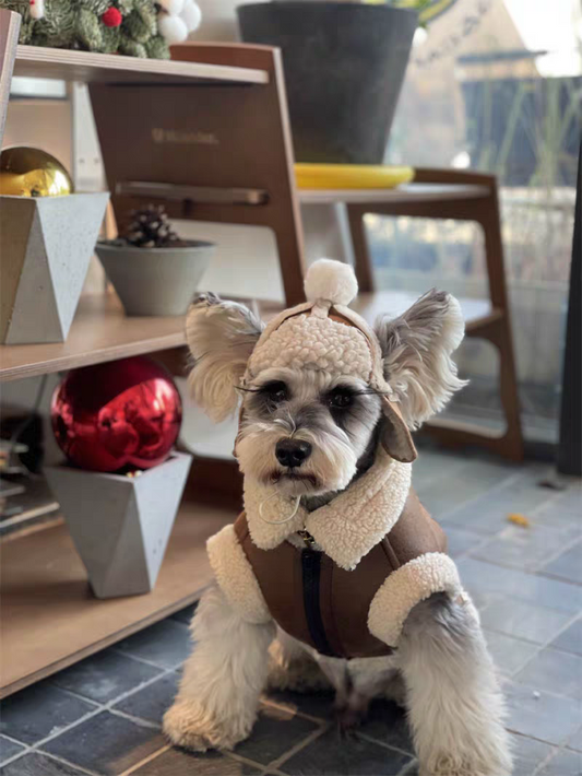 Sherpa Fleece Lined Dog Winter Vest, Faux Suede & Faux Leather Warm Pet Coat, 6 Sizes XS-XXL