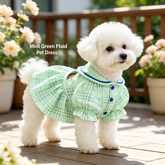 Pet Dress Sewing Pattern with Video Tutorial | A3 Printable | 7 Sizes (S-4XL) | Dog Cat Princess Dress Digital PDF