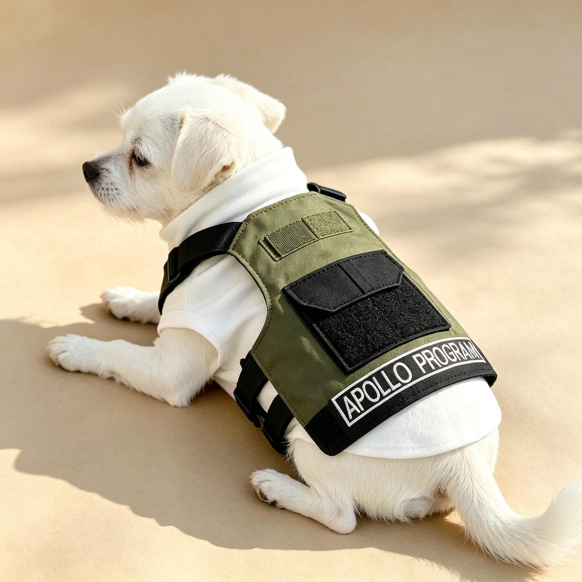 Pet Tactical Vest Harness Sewing Pattern with Video Tutorial | A3 Printable PDF | 7 Sizes S-4XL | Military Style Dog Cat Utility Vest