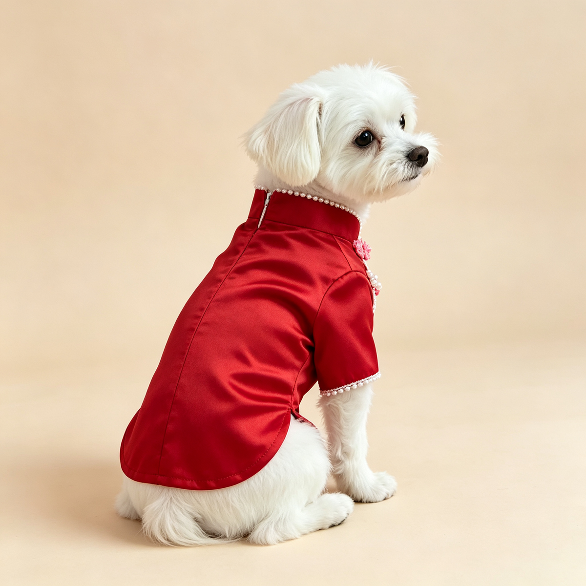 Pet Wearable Sewing Pattern + Video Tutorial | S-4XL | A3 Printable PDF for Dogs & Cats