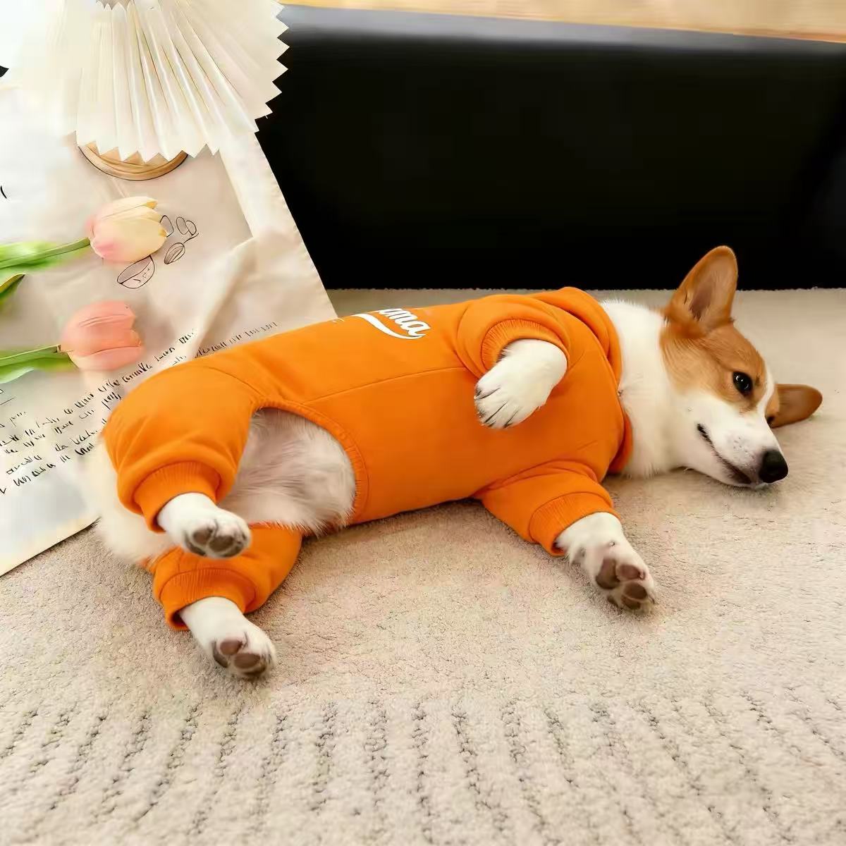 Pet Hooded 4-Leg Jumpsuit & Matching Bib PDF Sewing Pattern | S-4XL, Inch & Pound Size Chart, A3 Printable, Step-by-Step Sewing Tutorial for Dogs & Cats