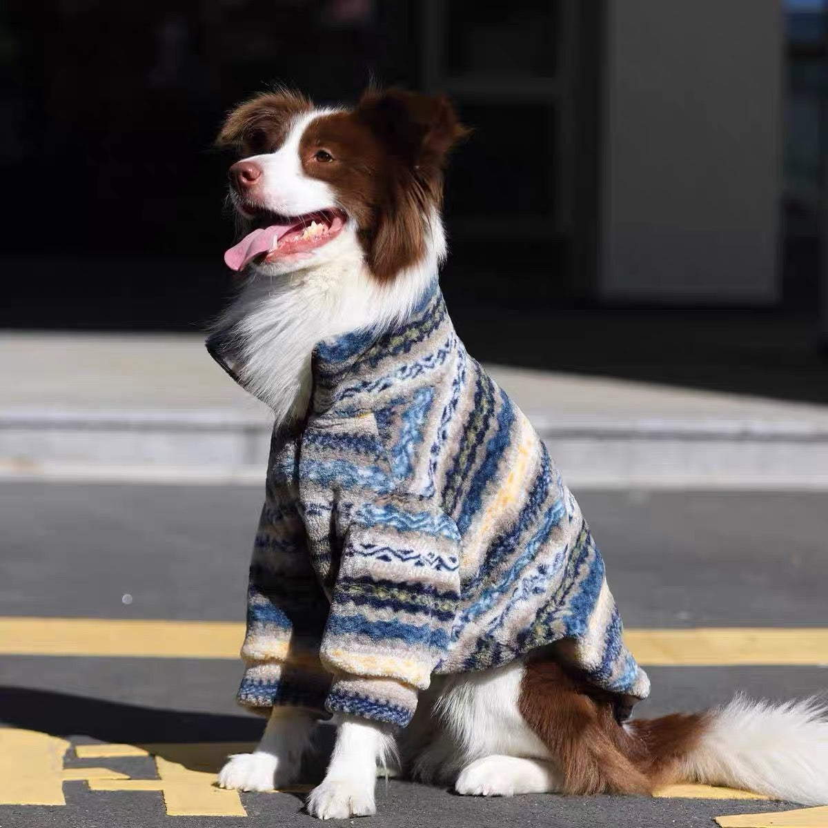 Pet Zip Jacket & Matching Bib PDF Sewing Pattern for Dogs & Cats | 7 Sizes S-4XL, Inch & Pound Size Chart, A3 Printable, Step-by-Step Sewing Tutorial, Fleece Pet Coat Template