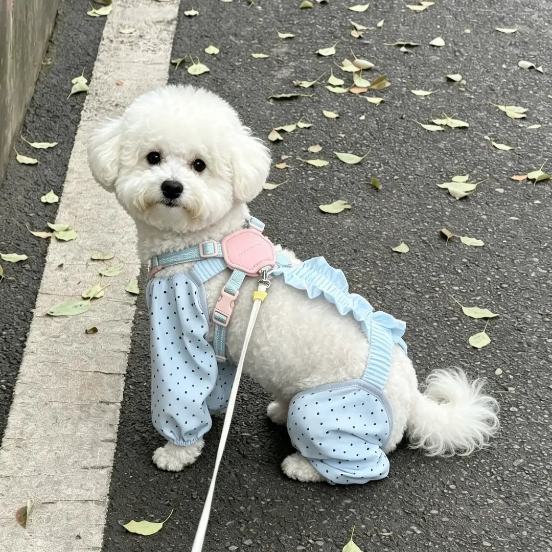 Pet Dust Pants Sewing Pattern with Step-by-Step Tutorial | A3 Printable PDF | Sizes S-4XL | Dog Cat Leg Protector Overalls