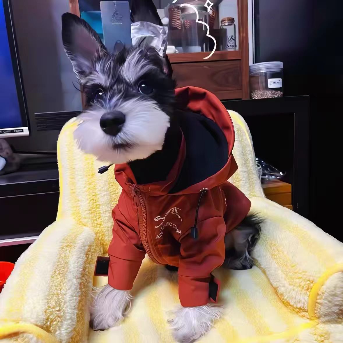 Warm waterproof dog hooded jacket for autumn & winter. Windproof pet outdoor coat with front zipper, available in XS–XXL sizes, measured in inches. Perfect for small dogs like Schnauzer, great for walking & outdoor adventures.