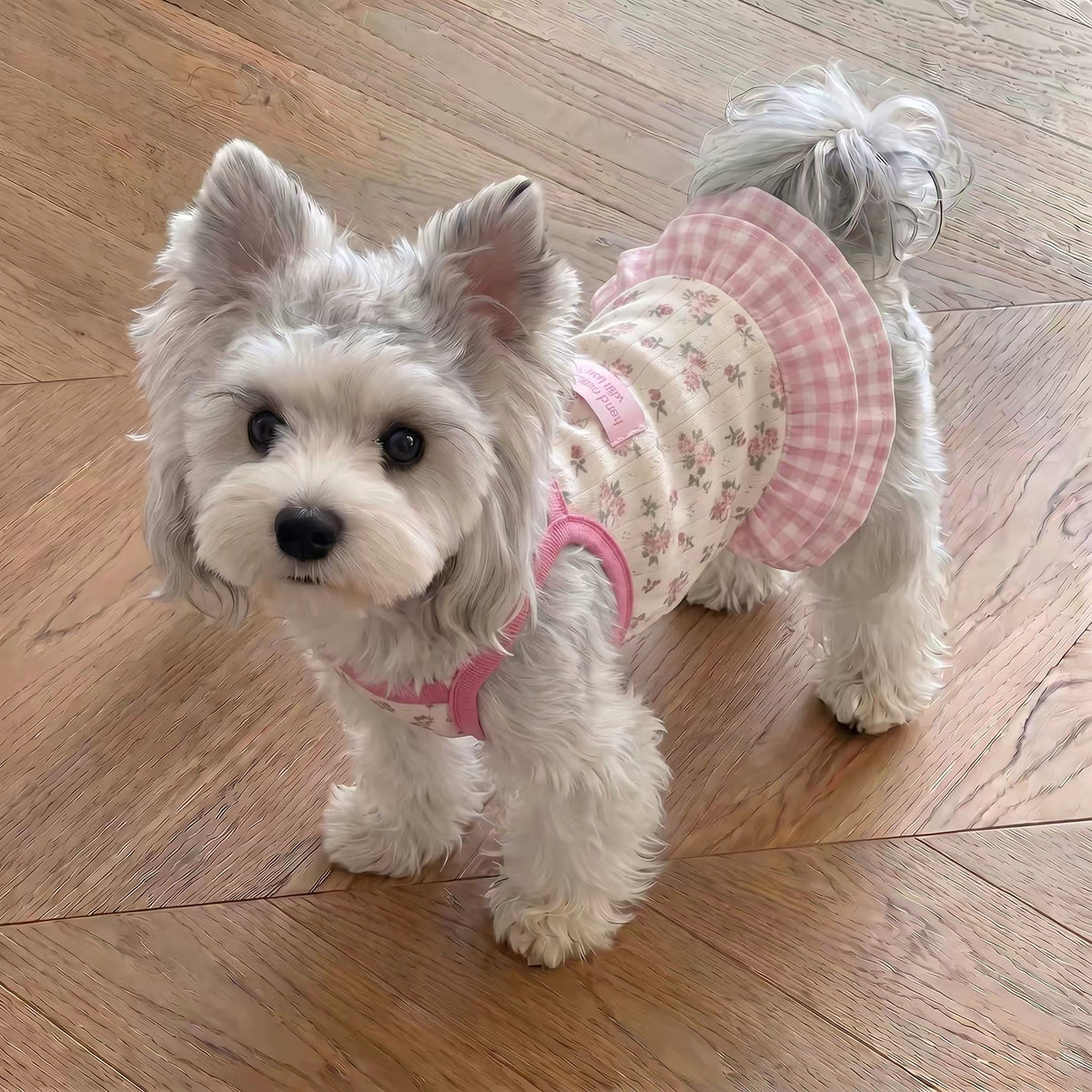 Pet Halter Dress Sewing Pattern with Step-by-Step Tutorial | A3 Printable PDF | Sizes S-4XL | Dog Cat Summer Ruffle Dress | Instant Download