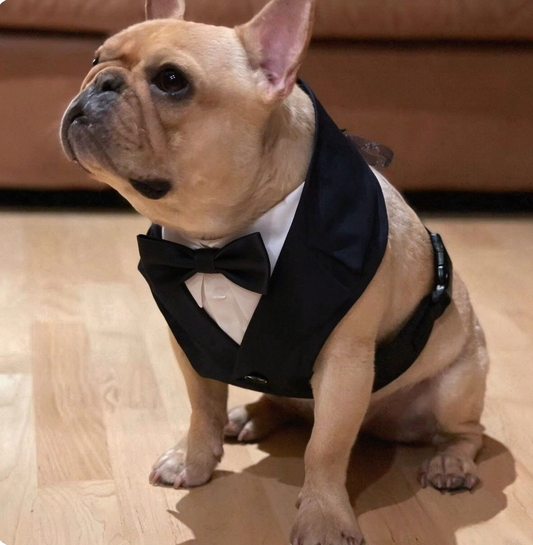Dog Tuxedo Harness with Bow Tie, Formal Wedding Suit Vest Harness for Small Medium Dogs, Adjustable Pet Party Outfit