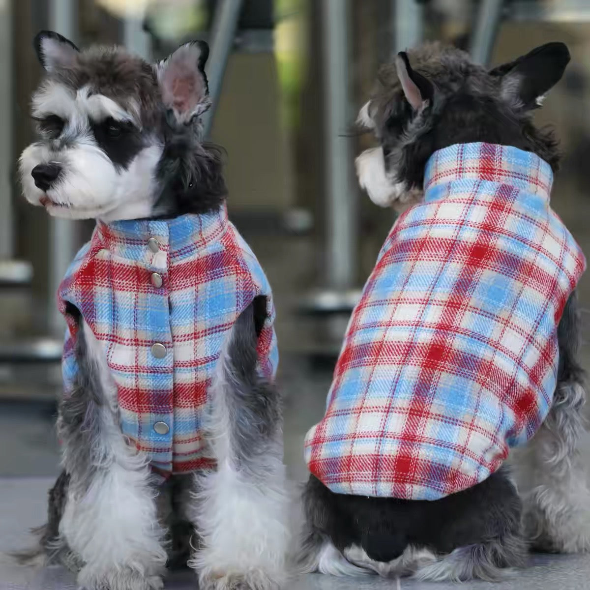 Printable PDF Sewing Pattern for Pet Vest, 7 Sizes S to 4XL, A3 Paper Printing, Full Step-by-Step Sewing Tutorial Included