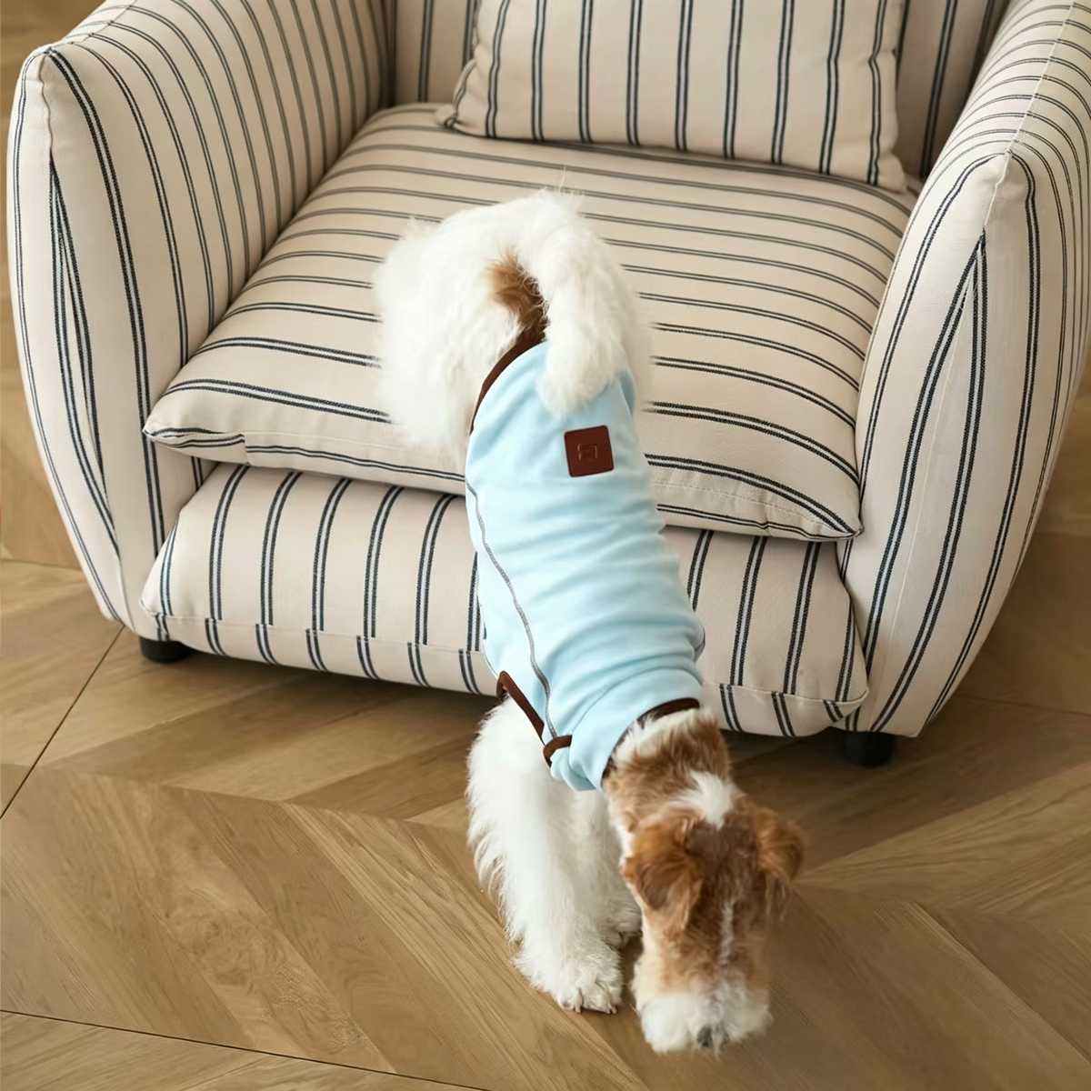 Pet V-Neck Vest Sewing Pattern, A3 Printable PDF with Full Sewing Tutorial, 7 Sizes (S–4XL) for Dogs & Cats
