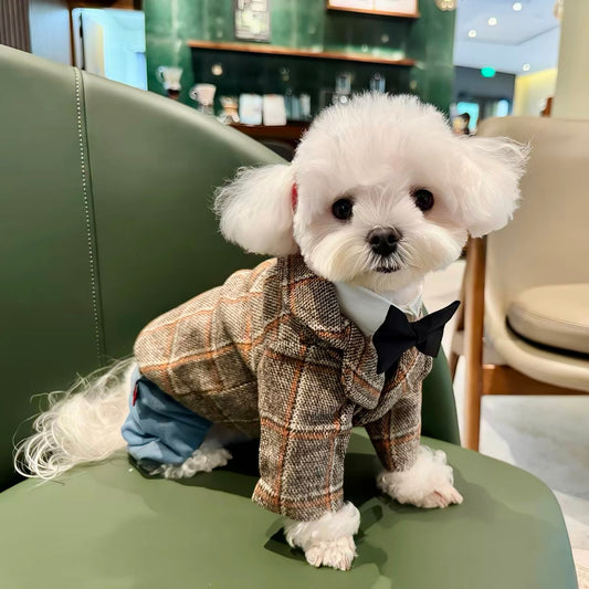 Pet Tuxedo Blazer Sewing Pattern + Video Tutorial | 7 Sizes S-4XL | A3 Printable PDF for Dogs & Cats