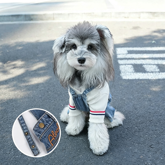 Pet Low-Rise Denim Overalls Sewing Pattern with Video Tutorial | A3 Printable PDF | 7 Sizes S-4XL | Dog Cat Jumpsuit Harness Pants