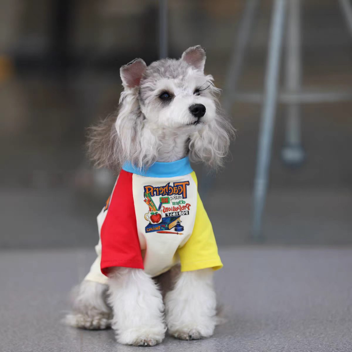 Pet Raglan Bodysuit Sewing Pattern with Video Tutorial | A3 Printable PDF | 7 Sizes S-4XL | Dog Cat Four-Leg Jumpsuit