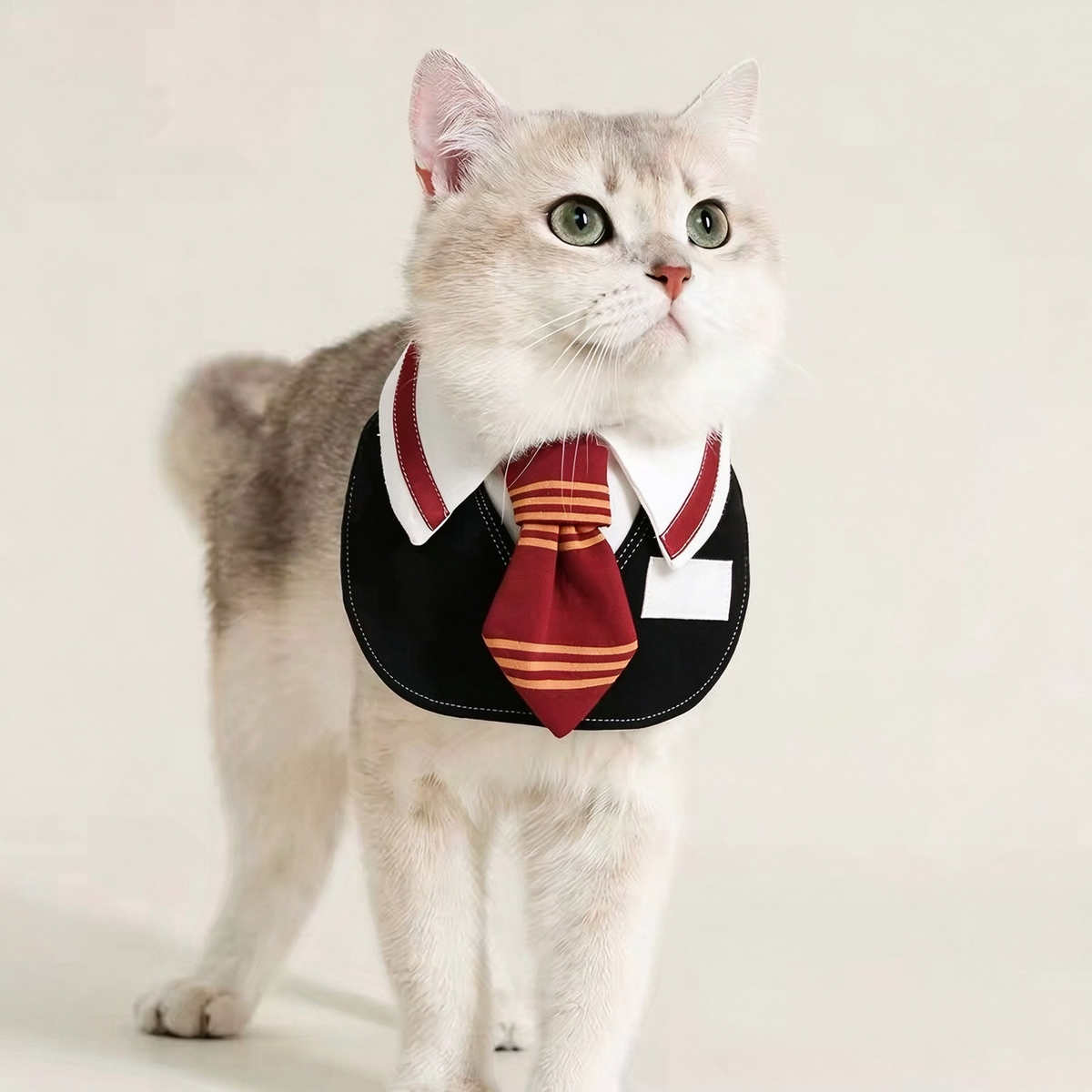 College Style Pet Collar Bib PDF Sewing Pattern | A4 Printable | 14 Sizes (XXS-9XL) | Step-by-Step Sewing Tutorial Included | Dog & Cat Neck Tie Bib Pattern