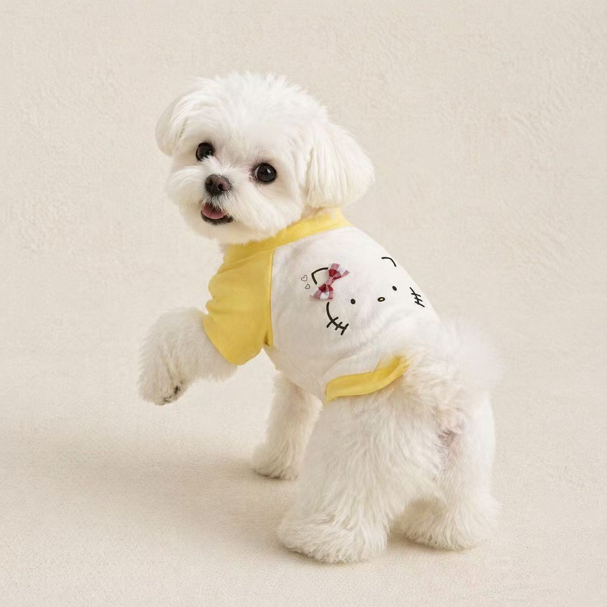 Pet Raglan T-Shirt Sewing Pattern with Video Tutorial | A3 Printable PDF | 7 Sizes S-4XL | Dog Cat Short Sleeve Casual Top