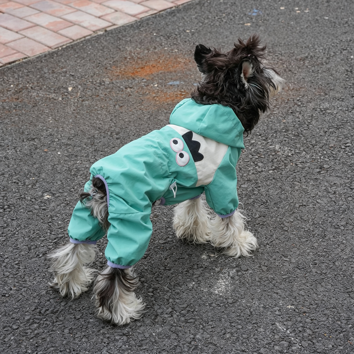 Dog Cat Full-Body Raincoat Onesie Sewing Pattern with Video Tutorial | A3 Printable | 7 Sizes (S-4XL) | Pet Waterproof Jumpsuit Digital PDF