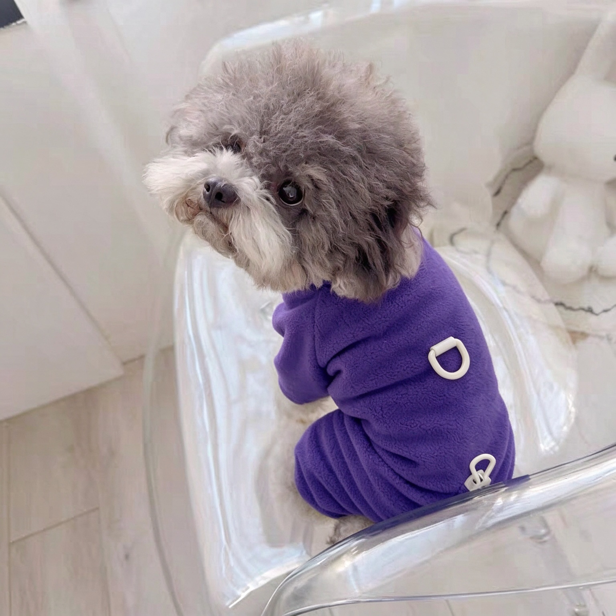 Dog Jumpsuit Bib Combo PDF Sewing Pattern | S-4XL Inch Sizes, A3 Printable with Step-by-Step Sewing Tutorial