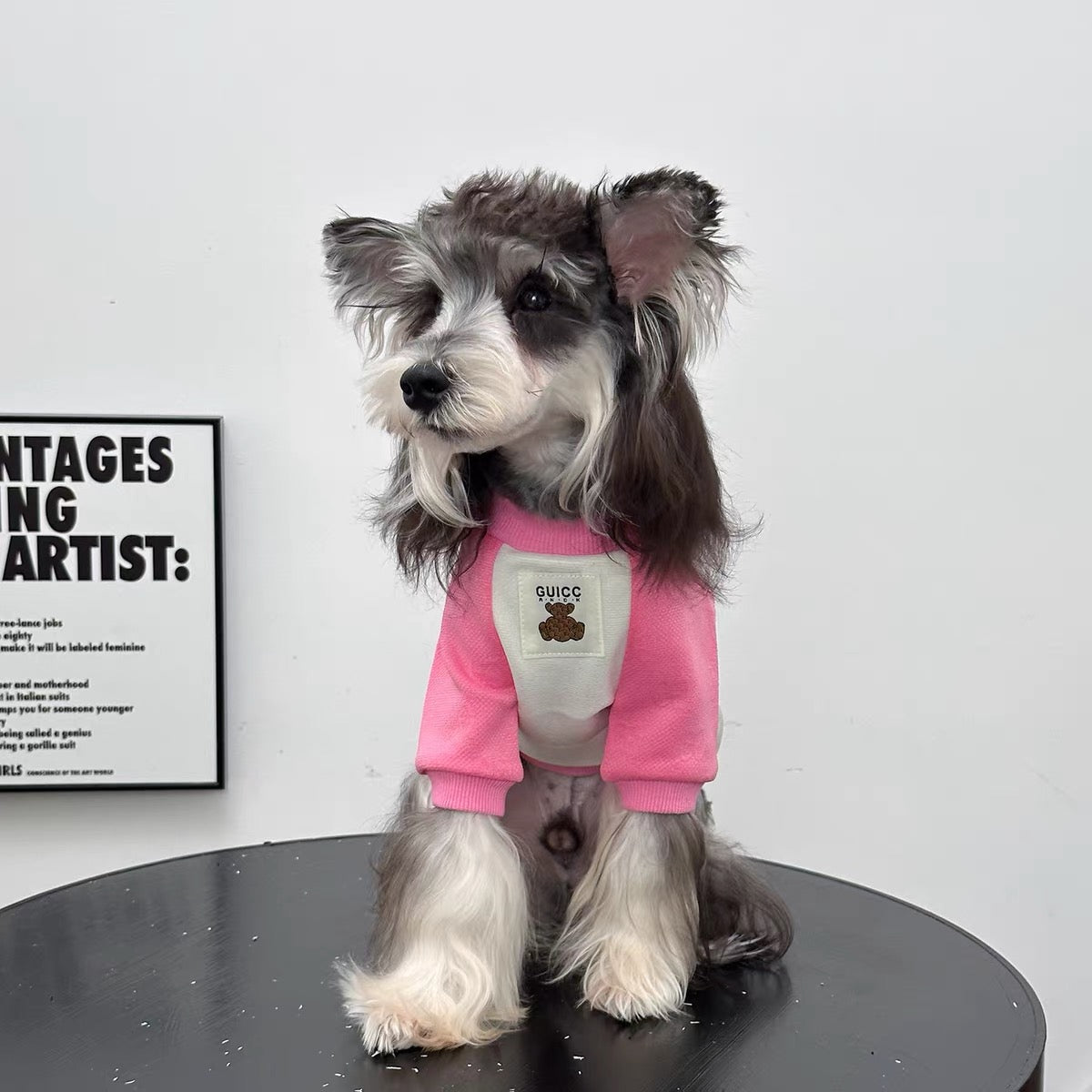 Pet Raglan Sweatshirt Sewing Pattern with Step-by-Step Tutorial | A3 Printable PDF | Sizes S-4XL | Dog Cat Casual Shirt
