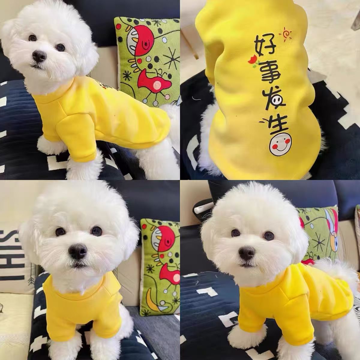 Pet Raglan T-Shirt Sewing Pattern with Video Tutorial | A3 Printable PDF | 7 Sizes S-4XL | Dog Cat Short Sleeve Casual Top