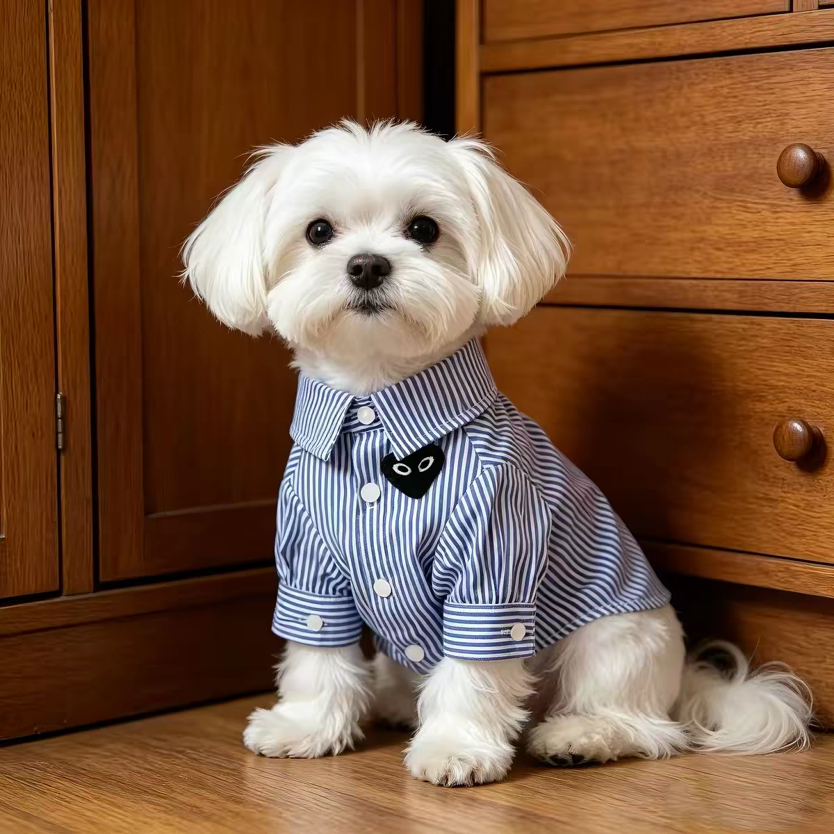 Pet Button-Down Shirt Sewing Pattern with Video Tutorial | A3 Printable PDF | 7 Sizes S-4XL | Dog Cat Formal Casual Shirt